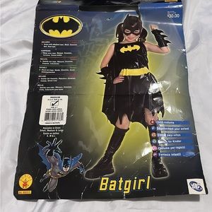 Batgirl Costume
